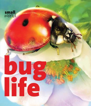 Knjiga Bug Life Lynette Evans