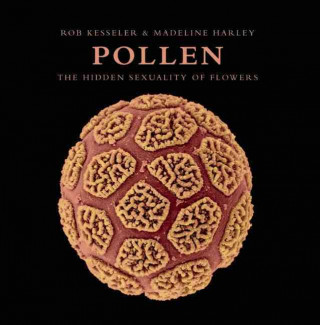 Könyv Pollen: The Hidden Sexuality of Flowers Rob Kesseler