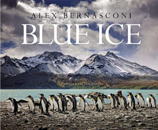 Könyv Blue Ice Julian Dowdeswell
