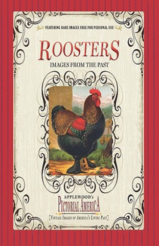 Knjiga Roosters Barbara Dasilva