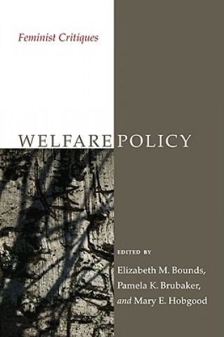 Book Welfare Policy: Feminist Critiques Elizabeth M. Bounds