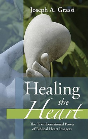 Knjiga Healing the Heart Joseph A. Grassi