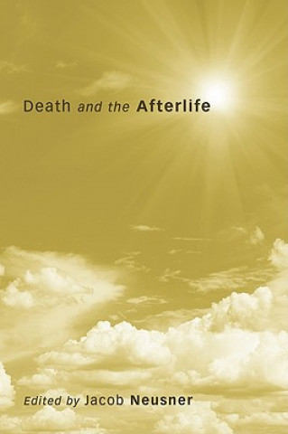 Book Death and the Afterlife Jacob Neusner