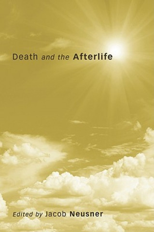 Livre Death and the Afterlife Jacob Neusner