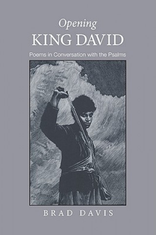 Book Opening King David Brad Davis
