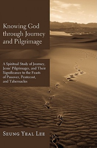 Book Knowing God Through Journey and Pilgrimage Seung Yeal Lee