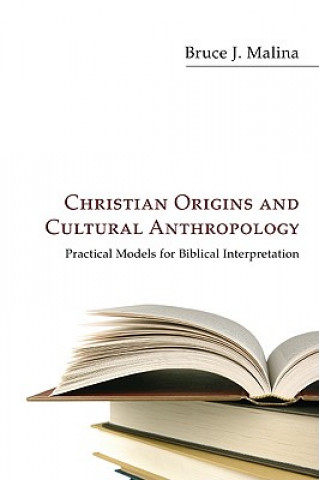 Buch Christian Origins and Cultural Anthropology Bruce J. Malina