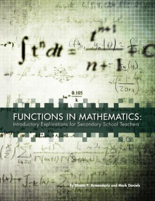 Buch Functions in Mathematics Mark Daniels