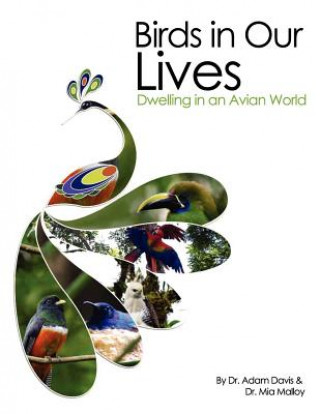 Kniha Birds in Our Lives Adam Davis