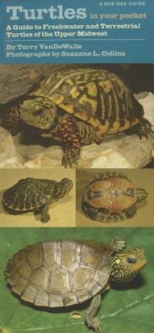 Kniha Turtles in Your Pocket: A Guide to Freshwater and Terrestrial Turtles of the Upper Midwest Terry Vandewalle