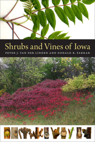 Könyv Shrubs and Vines of Iowa Peter J. Van Der Linden