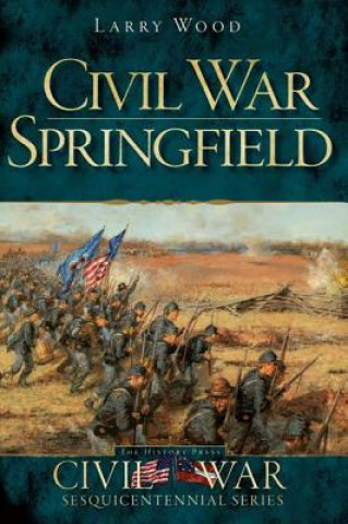 Kniha Civil War Springfield Larry Wood