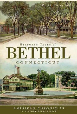 Kniha Historic Tales of Bethel, Connecticut Patrick Tierney Wild
