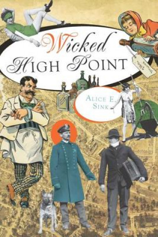 Buch Wicked High Point Alice E. Sink