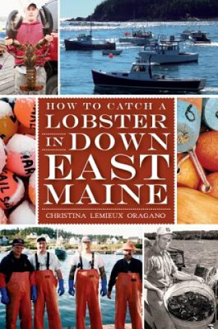 Kniha How to Catch a Lobster in Down East Maine Christina LeMieux Oragano