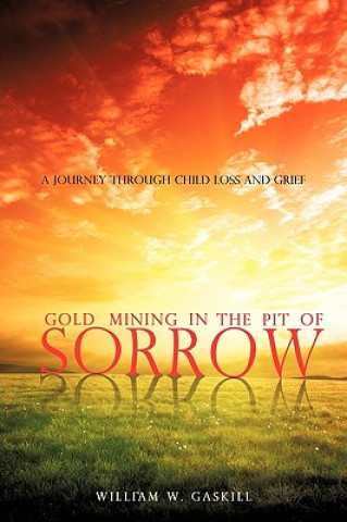 Book Gold Mining in the Pit of Sorrow William W. Gaskill