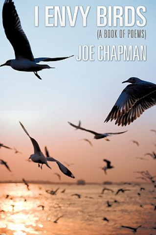 Kniha I Envy Birds Joe Chapman