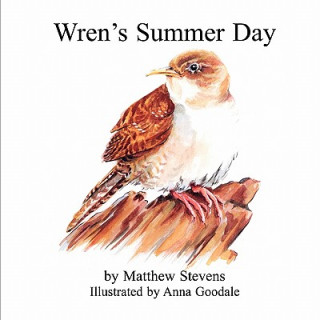 Kniha Wren's Summer Day Matthew Stevens