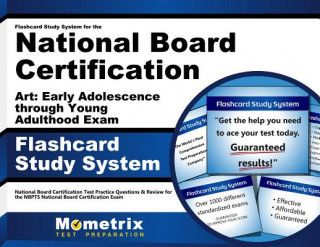 Hra/Hračka Flashcard Study System for the National Board Certification Art Early Adolescence Through Young Adulthood Exam: National Board Certification Test Prac National Board Certification Exam Secret