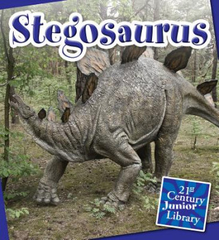 Könyv Stegosaurus Lucia Raatma