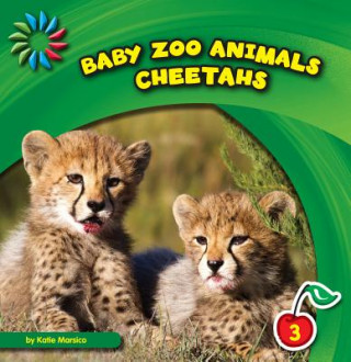 Carte Cheetahs Katie Marsico