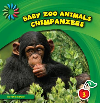 Kniha Chimpanzees Katie Marsico