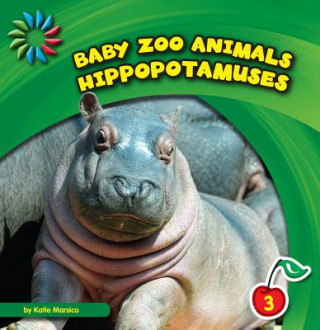 Książka Hippopotamuses Katie Marsico