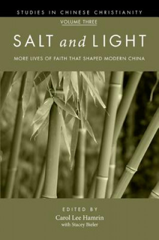 Book Salt and Light, Volume 3 Carol Lee Hamrin