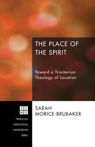 Kniha The Place of the Spirit: Toward a Trinitarian Theology of Location Sarah Morice-Brubaker