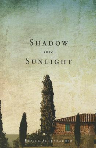 Книга Shadow into Sunlight Elaine Shelabarger