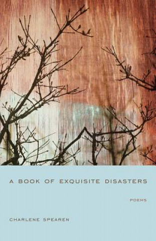 Kniha A Book of Exquisite Disasters Charlene Monahan Spearen