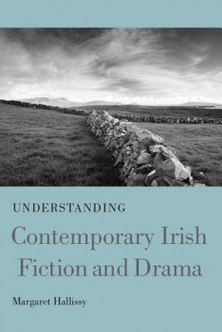 Kniha Understanding Contemporary Irish Fiction and Drama Margaret Hallissy