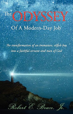 Könyv The Odyssey of a Modern-Day Job Jr. Robert E. Bruce