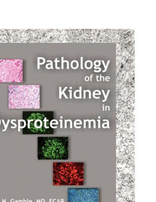 Książka Pathology of the Kidney in Dysproteinemia Charles N. Gamble