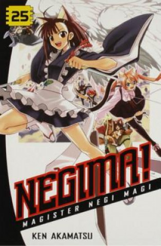 Könyv Negima! 25 Ken Akamatsu