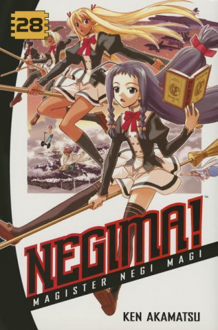 Book Negima! 28 Ken Akamatsu