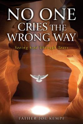 Buch No One Cries the Wrong Way: Seeing God Through Tears Joe Kempf