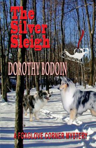 Książka Silver Sleigh Dorothy Bodoin