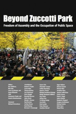 Kniha Beyond Zuccotti Park Ron Shiffman