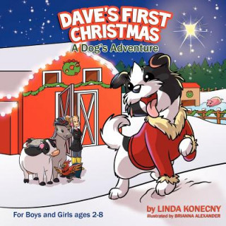 Kniha Dave's First Christmas Linda Konecny