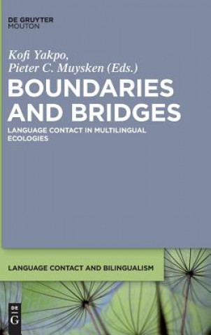 Könyv Boundaries and Bridges Kofi Yakpo