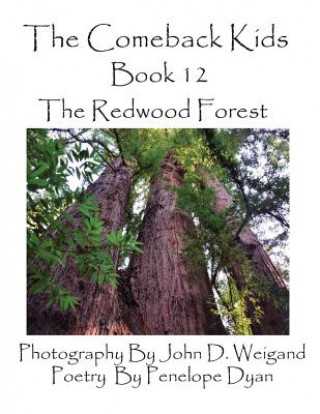 Könyv Comeback Kids, Book 12, the Redwood Forest Penelope Dyan