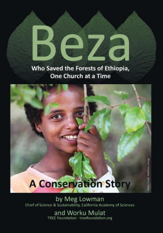 Carte Beza, Who Saved the Forests of Ethiopia, One Church at a Time - A Conservation Story Meg Lowman