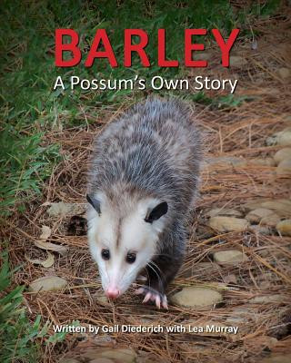 Kniha Barley, a Possum's Own Story Gail Diederich