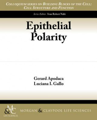 Kniha Epithelial Polarity Gerard Apodaca