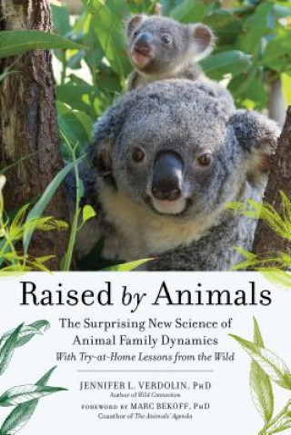 Kniha Raised by Animals Jennifer Verdolin