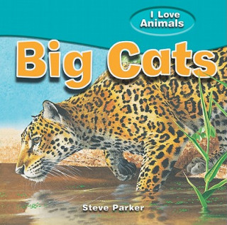 Carte Big Cats Steve Parker