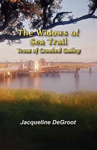 Könyv The Widows of Sea Trail-Tessa of Crooked Gulley Jacqueline DeGroot