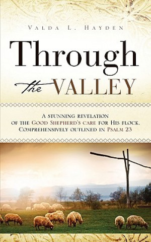 Книга Through the Valley Valda Hayden