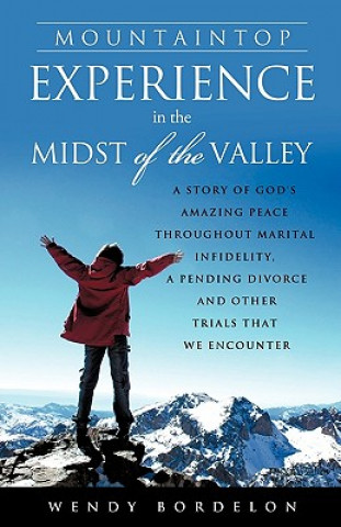 Kniha Mountaintop Experience in the Midst of the Valley Wendy Bordelon